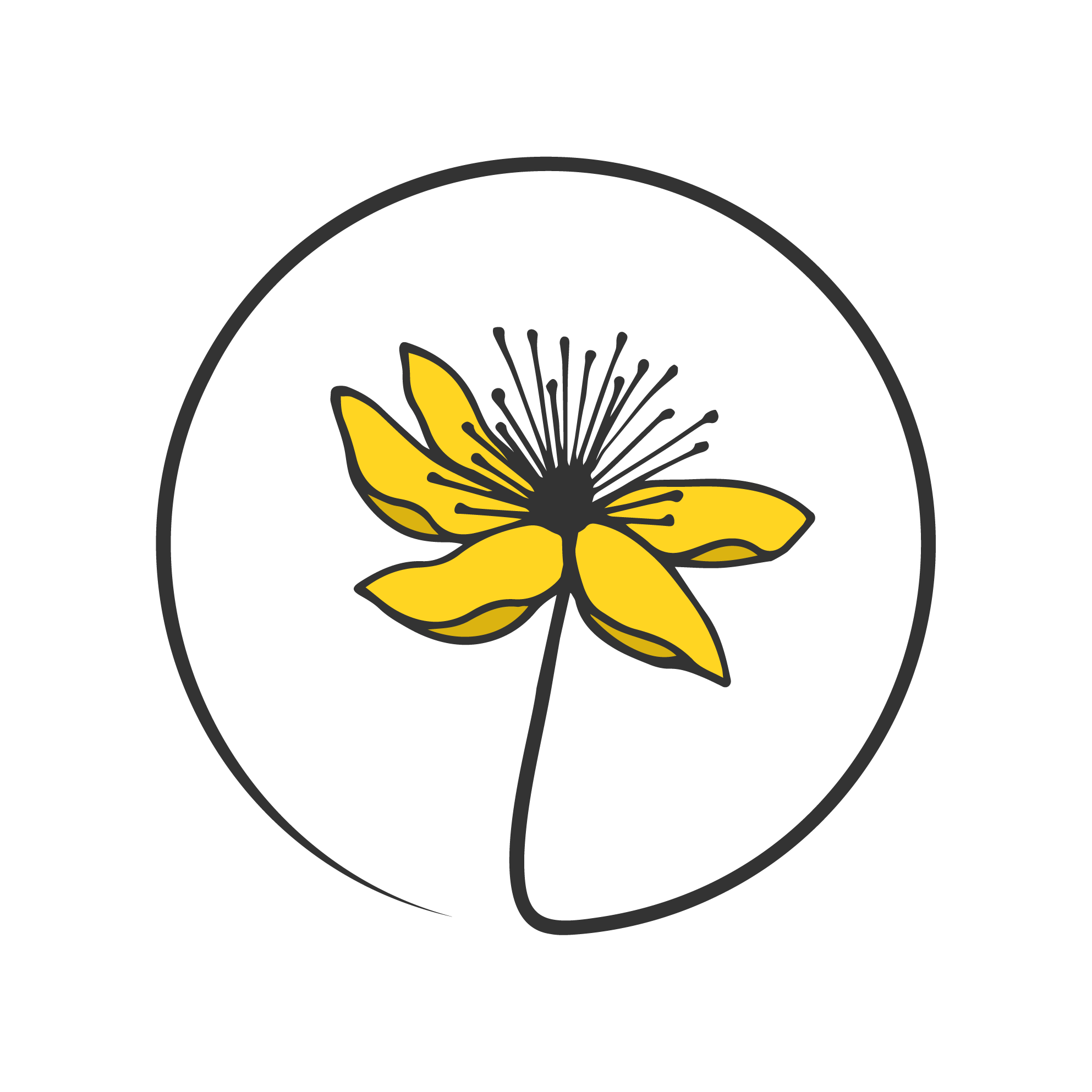 logoWhite